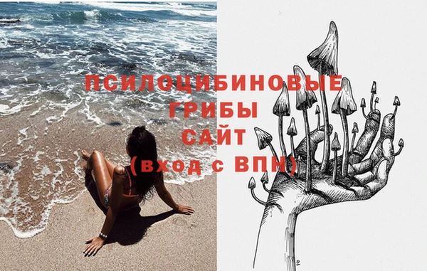 a pvp Володарск