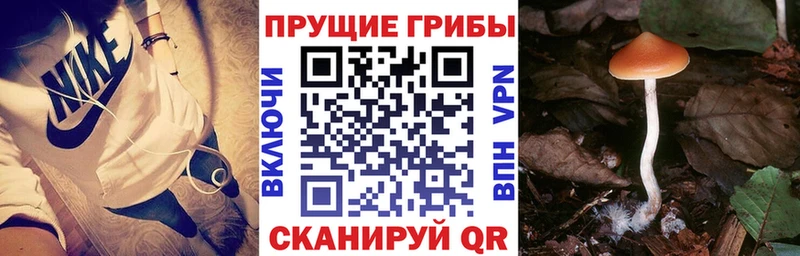 Псилоцибиновые грибы прущие грибы  цена наркотик  Оха 